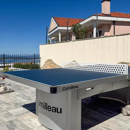 Ramonda Seaside *